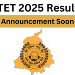 PSTET 2025 Results